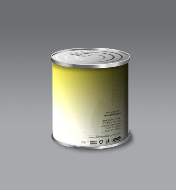 Ginger Powder - Image 3